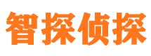 元谋外遇调查取证